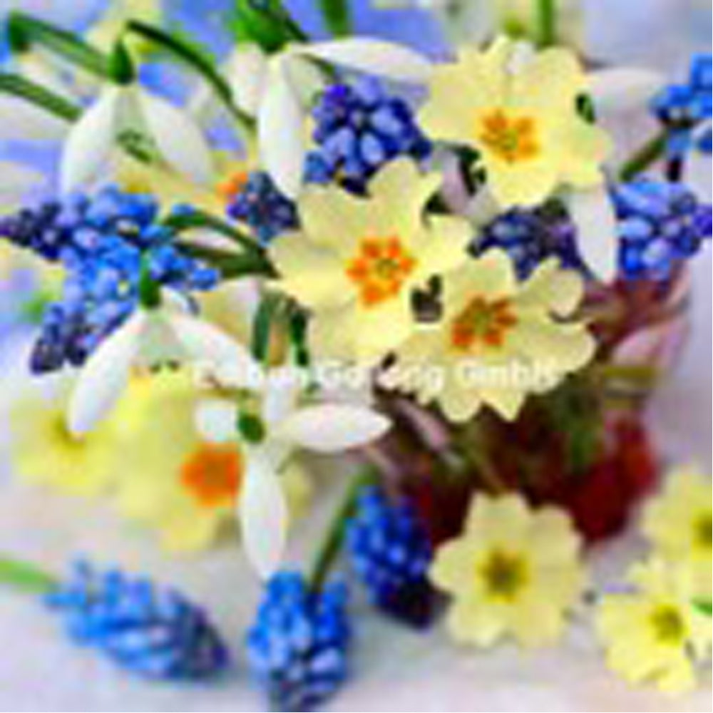 Kvadratisk postkort 12-583