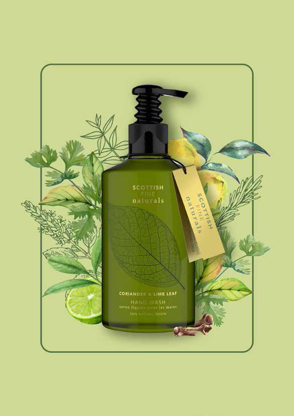 Scottish Fine Naturals hand wash Refill 600ml Coriander & Lime