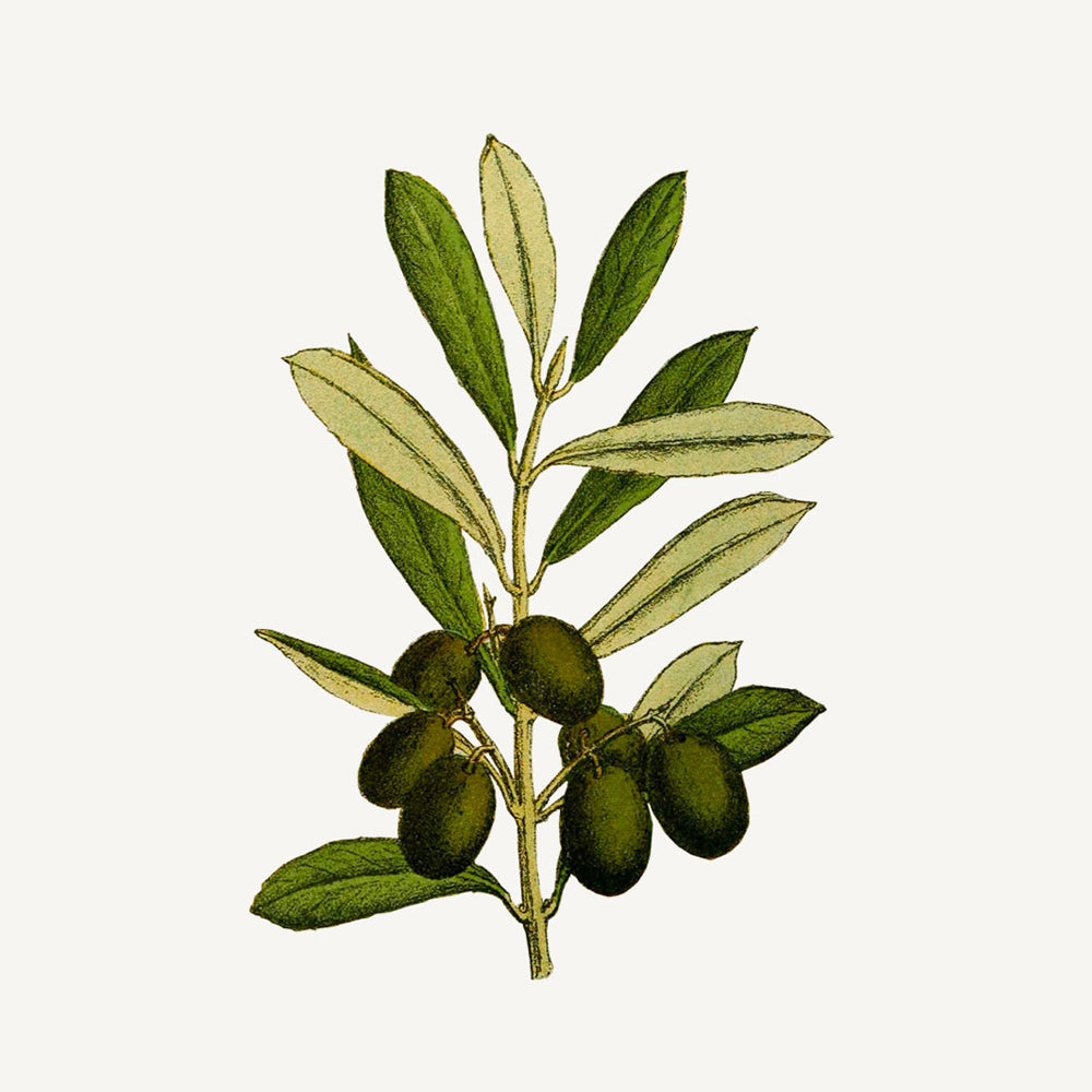 Shower Gel 200ml Blooming Iris