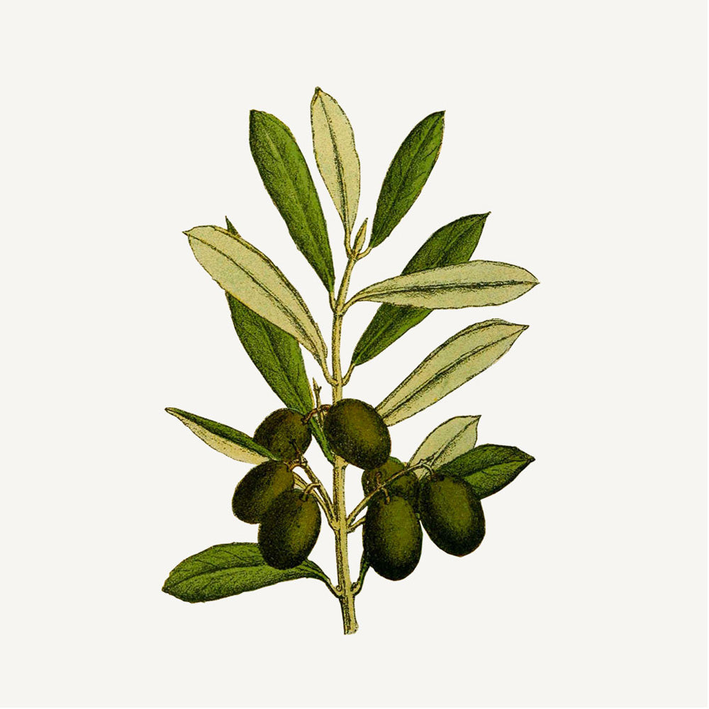 Marseille sæbe 500ml Precious jasmin