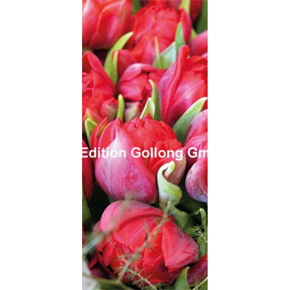 Mini lang kort med kuvert 10-199