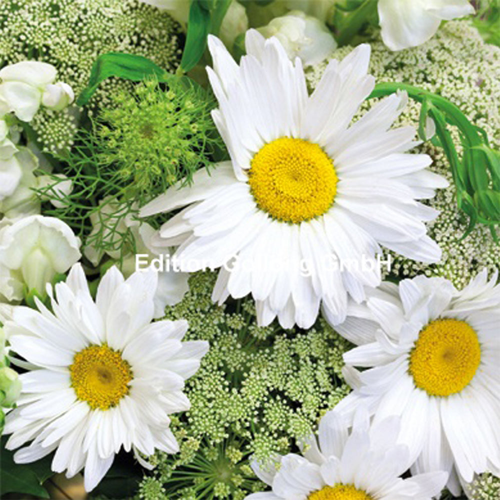 Kvadratisk postkort 12-1139