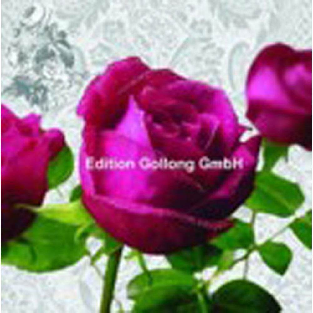 Kvadratisk postkort 12-528