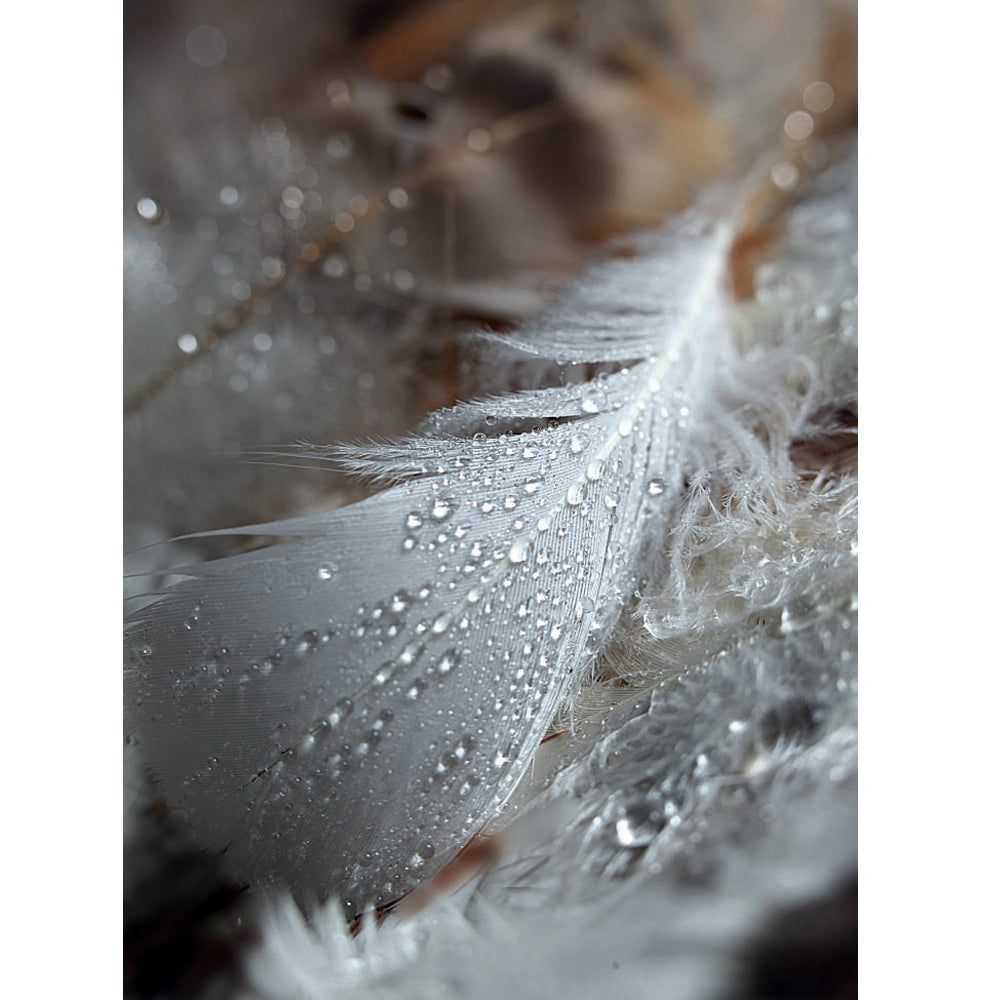 Mini kort med kuvert 5-235