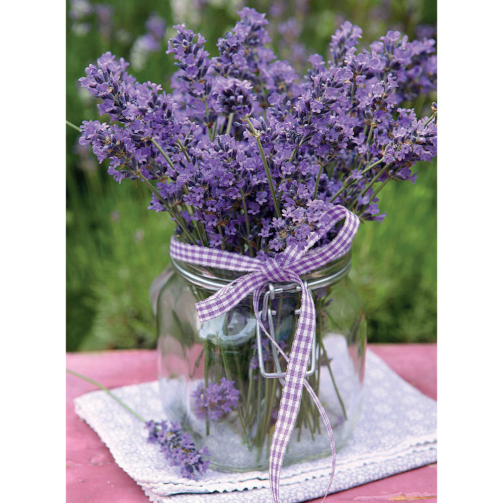 Mini kort med kuvert 5-242