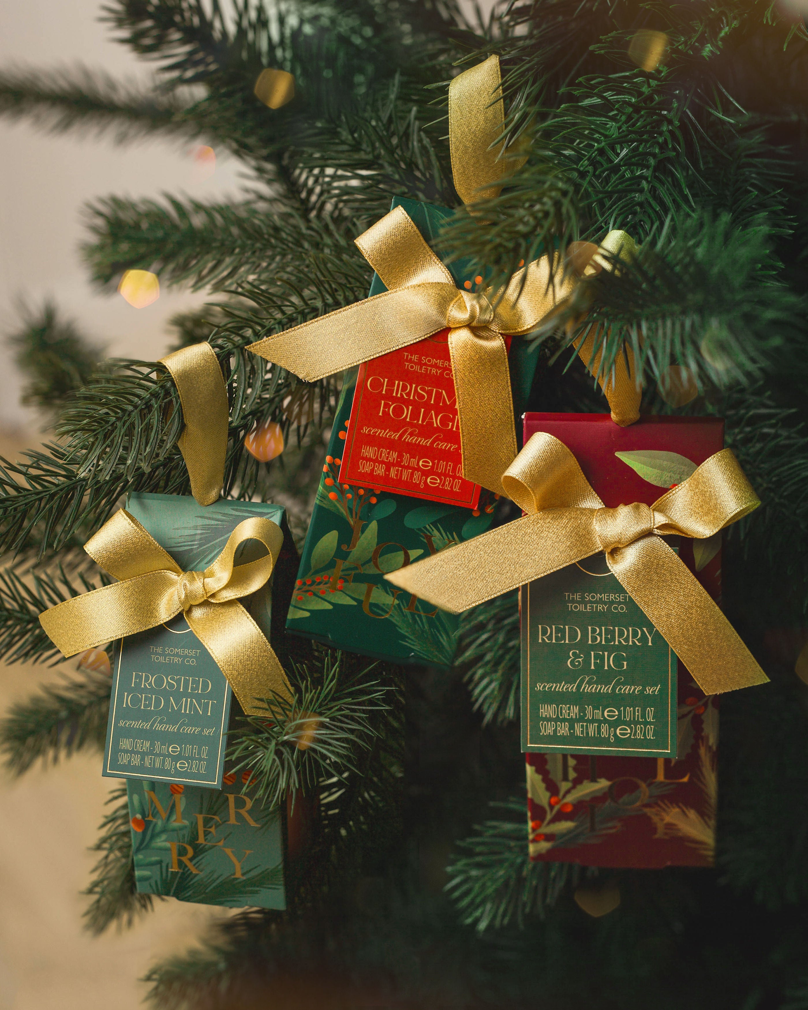 Somerset Festive Foliage hand care set