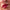 La Crique Moisturizing Lip and Cheek Balm Shade 03 Just Red