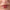 La Crique Moisturizing Lip and Cheek Balm Shade 04 Red Brown
