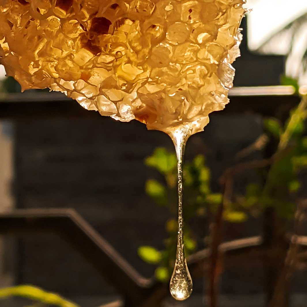 Exfolierende Marseille soap  - Regenererende Honning 500ml