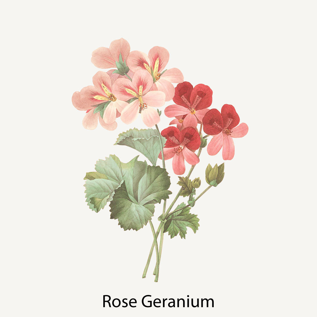 Marseille sæbe 500ml rose & Geranium